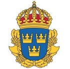 Polisen_vapen