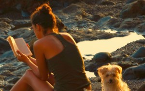 STRANDSYSSLA. (Wikimedia/Pacostein, ngt besk.)